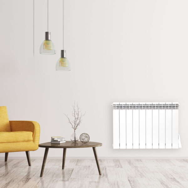 Elektrorad ator standart 10 sekts y